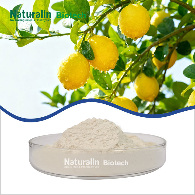 Lemon Powder Lemon Powder